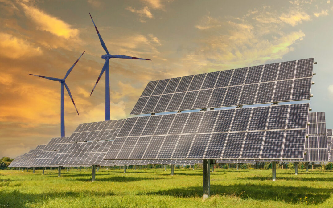 Avoid 1 Renewable Stock as the Mega Trend Gains Momentum