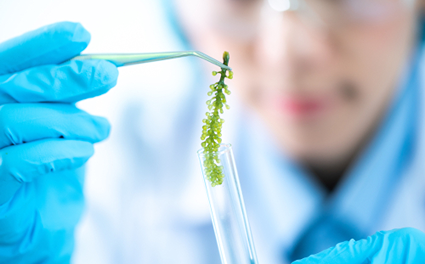 scientist makes methanol